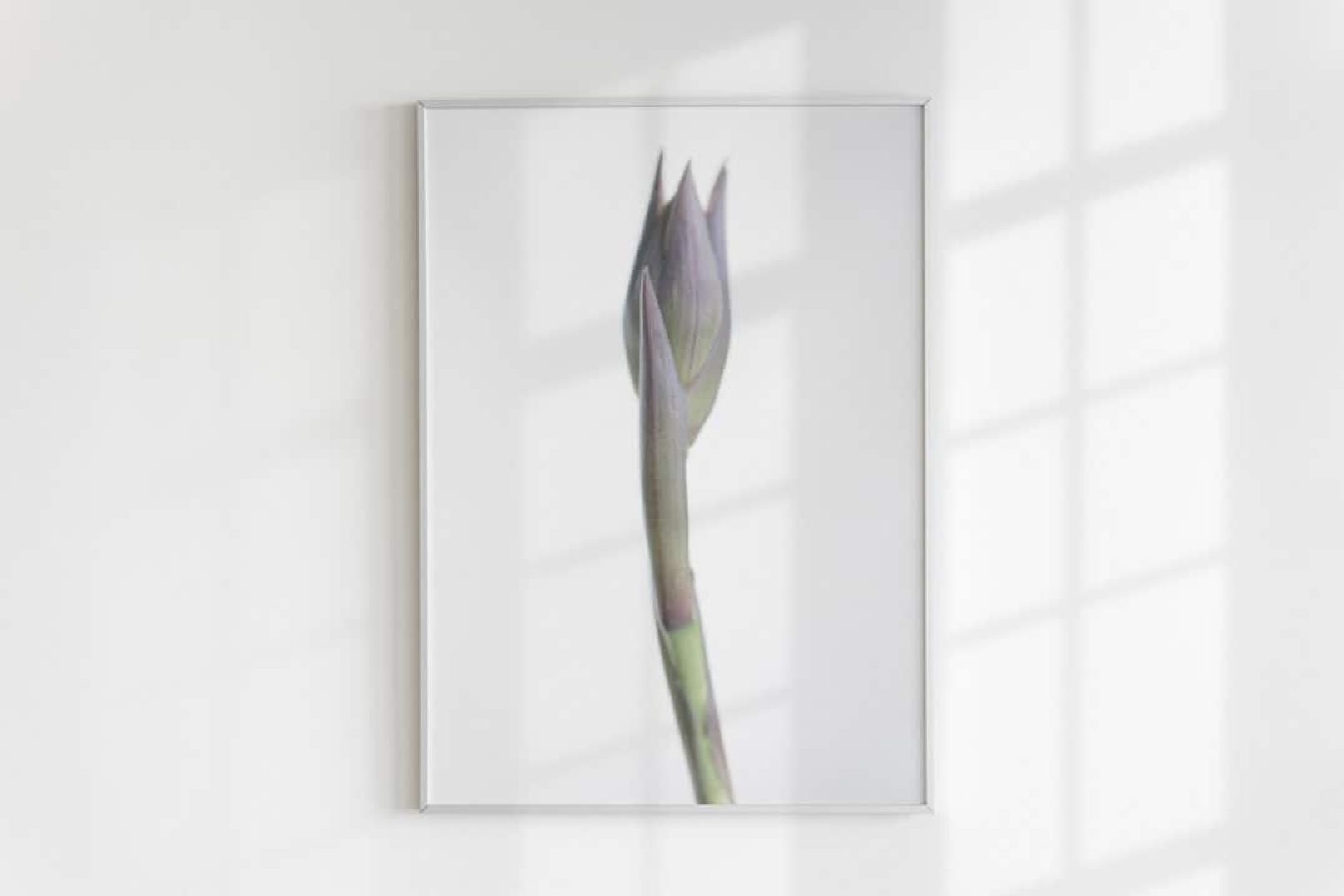 Luxury picture frame  with hosta bud as motif,on the wall